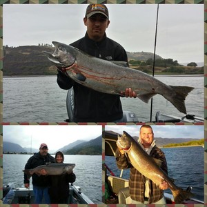 salmonfishing.jpg