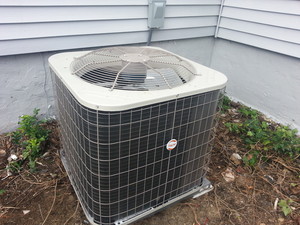 20131017_112458.jpg