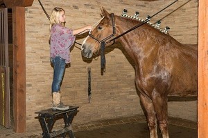 BJBraiding.jpg