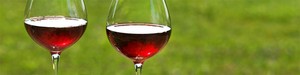 WineGlassesA.jpg