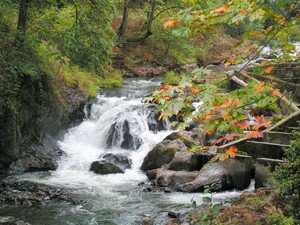 23934805.wash03_14.jpg