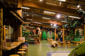 HOCM_FabForest1.jpg