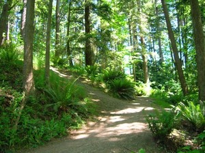 watershed-park.jpg