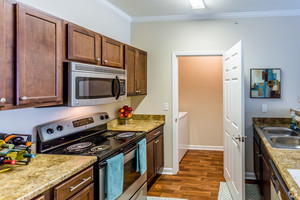 chenal-pointe-at-the-divide-little-rock-ar-interior-photo(22).jpg