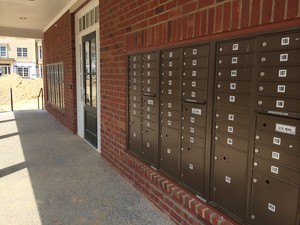 photo2.JPG