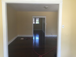 IMG_1039.jpg