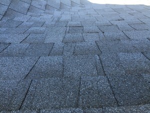 IMG_2104.jpg