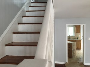 IMG_3570.jpg
