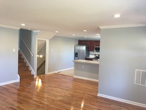 IMG_4555.jpg