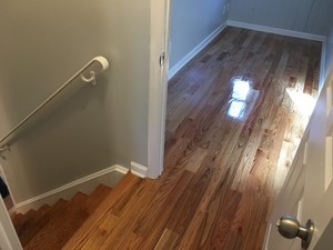 IMG_4567.jpg