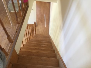 IMG_4590.jpg