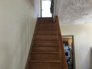 IMG_4593.jpg