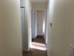 IMG_5191.jpg