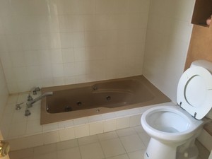 IMG_0583.jpg