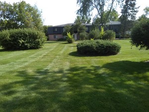 IMG_20170815_155040.jpg