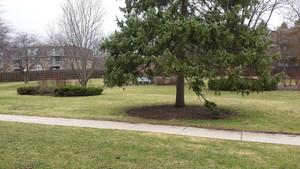 20170306_135556.jpg