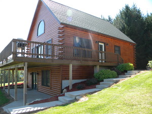 PinesStainingandlandscapeAug.2010010.jpg