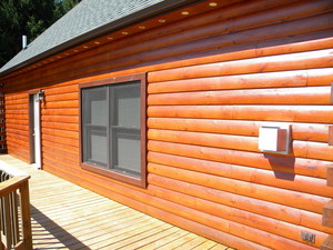 PinesStainingandlandscapeAug.2010015.jpg