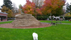 HuntamerPark.jpg