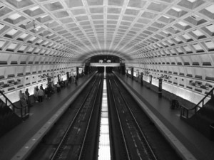 141046980[1].jpg