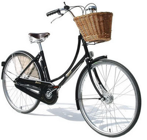 bikepic.jpg