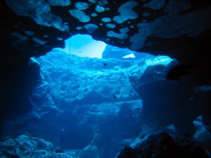 VortexSpringsSummer2008.jpg
