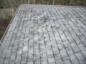 IMGP3111.JPG