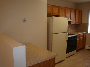 KitchenBirch3.JPG