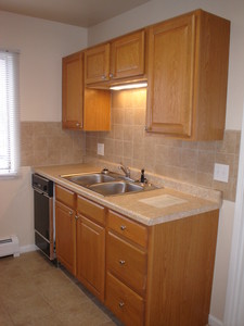 KitchenBirch4.JPG
