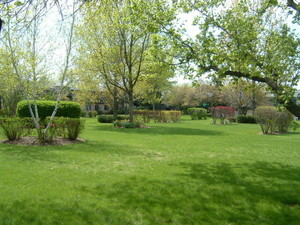 Copyofvillasbythelake2006002.jpg